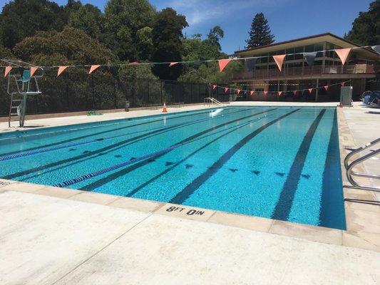 Newly Remodeled Modern Pool!