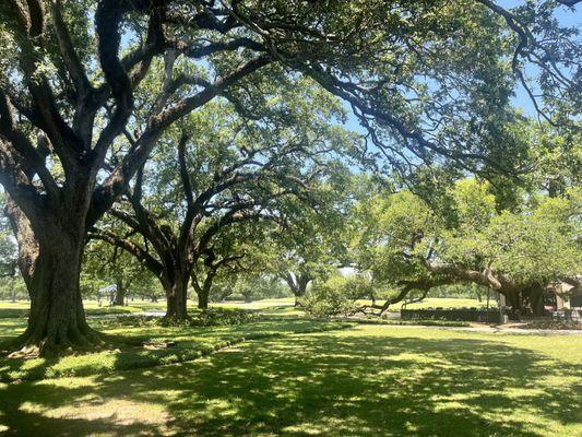 New Orleans Country Club