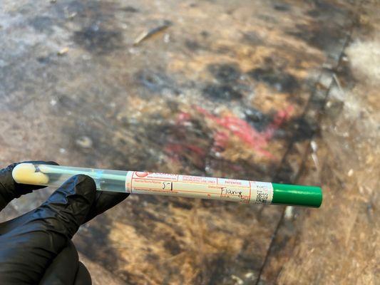 Swab sample taken to confirm mold growth on flooring.