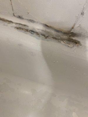 This place is MOLD INFESTED AND THEY NEVER FIX ANYTHING! KENDRA, QUINTESSA NONE ARE HELPFUL AND/OR USEFUL. They never "receive" work orders!