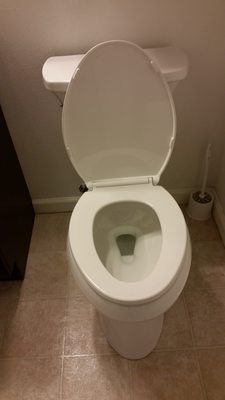 New toilet installed