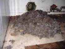 Its amazing how much lint can be removed from a dryer duct! Now their closer will dryer 3x faster!