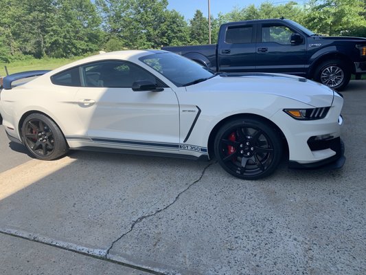 GT 350