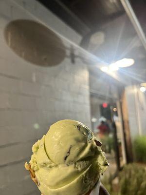 Mint chocolate chip (waffle cone)