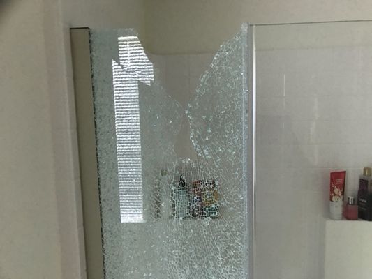 Shattered glass shower door