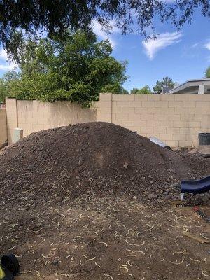 (Before) 30 tons of dirt