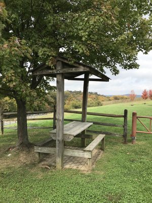 Cute picnic table by the trail head / parking lot