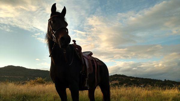 Dry Creek Ranch