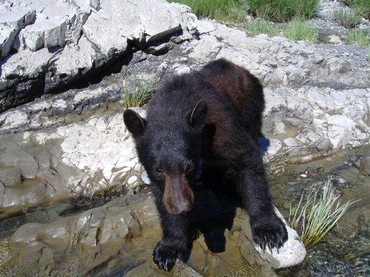 On the way up the river you can say hi to our neighbors.