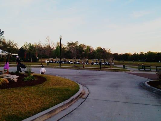 the only thing that convinced me that this was a golf course were these golf carts. The greens ain't green.