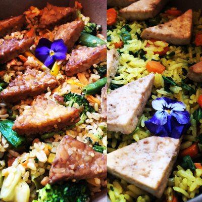 Tempeh and veggie fried rice to the left, marinated tofu with coconut jasmine rice to the right. FIRE