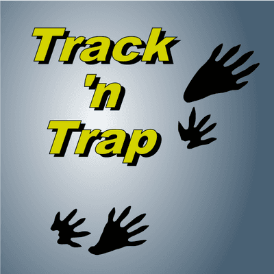 Track 'n Trap