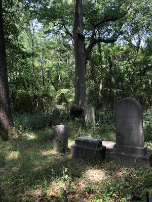 Old cemetery