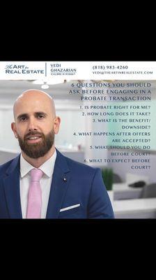 Vedi Ghazarian - The Art in Real Estate