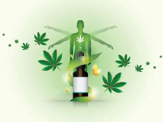 Therapeutic Benefits Of Medical Marijuana