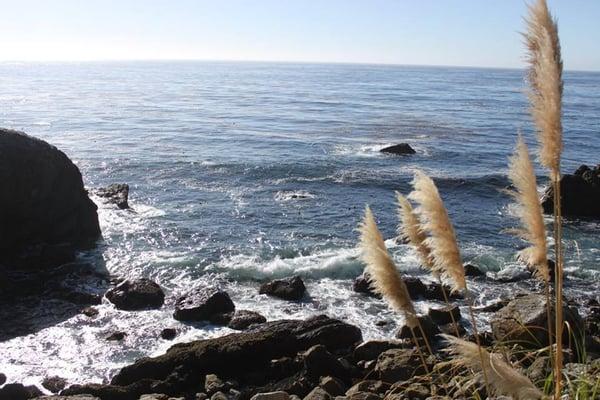 My Inspiration: The rocky shoreline of the Pacific Ocean at the Esalen Institute