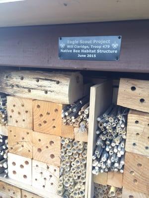 Watch out for the bee habitat near the parking lot!