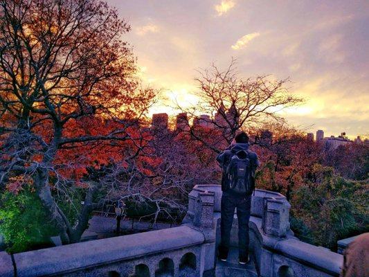 Central Park Sunset Tours