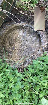 Septic tank due to system failure.