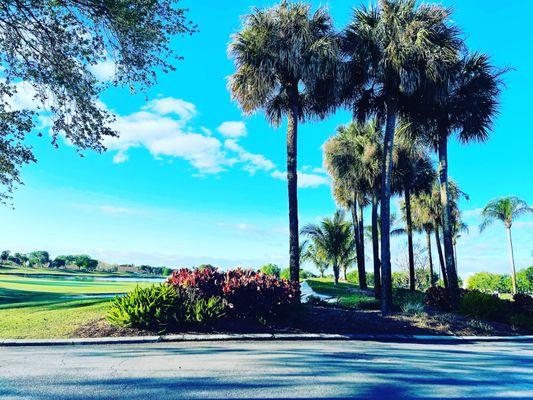 Arrowhead Golf
Naples