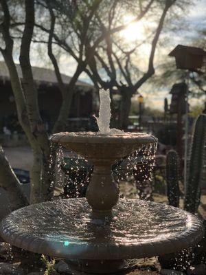 Fountain install for wildlife in cave creek