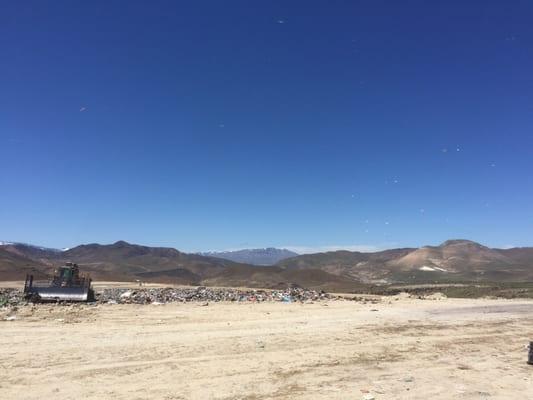 Beautiful but smelly day at the dump!!