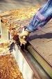 Professional gutter cleaning service