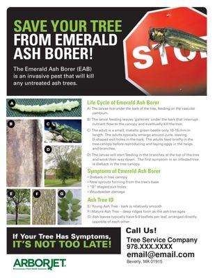 EMERALD ASH BORER