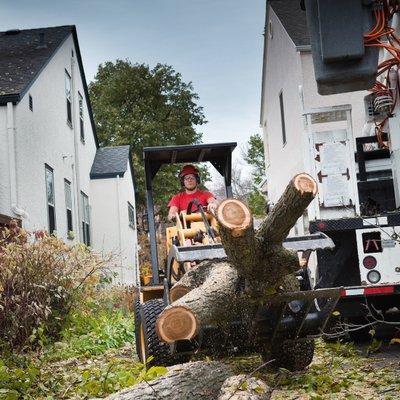 Wood Cutting restoration