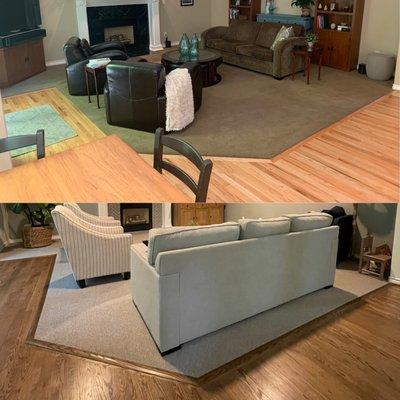 Hardwood/Carpet Transformation