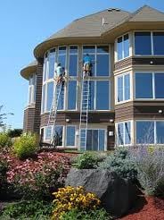 Pro Window Cleaning