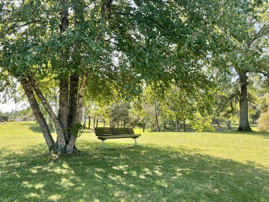 Shaded bench seating.