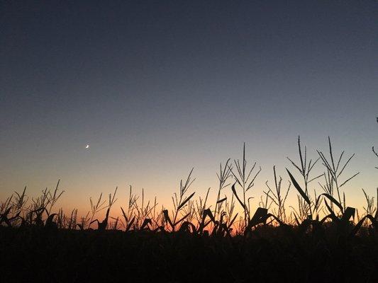 Hands down, the best time to go through the maze is at sunset!