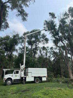 Toben Tree Service