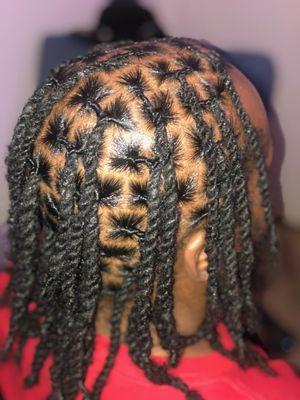 Loc Hairstyle