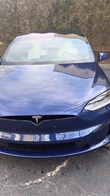 Tesla Model Y original color