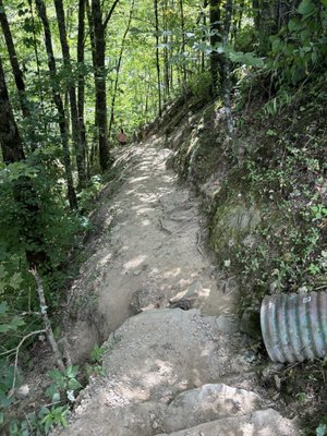 Trail to the waterfall