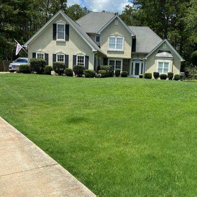 Lawn Treatment for weeds