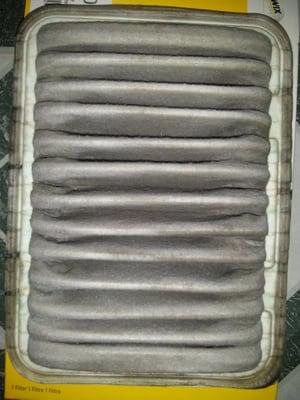 Air filter from purchased car that had leafs and debris.