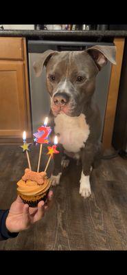 Went to Gigi's for a pup friendly cupcake ! I was so excited they made them ! My dog LOVED it !