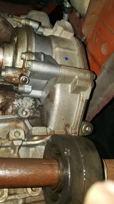 A couple pictures of some detailing jobs and an installation of a water pump on an 04 Pontiac sunfire