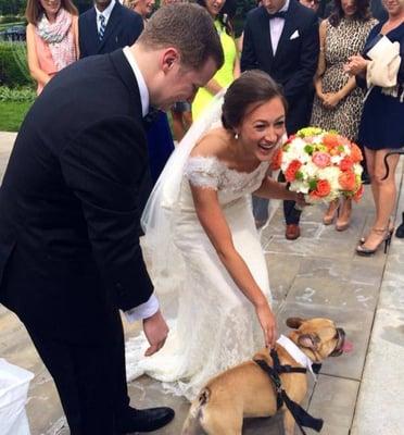 Lindsay got our dog to the ceremony for pictures!