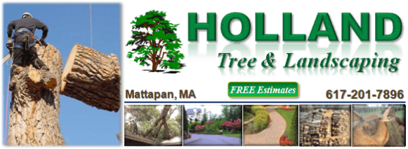 Holland Tree & Landscaping