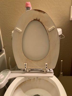 A toilet before I cleaned it