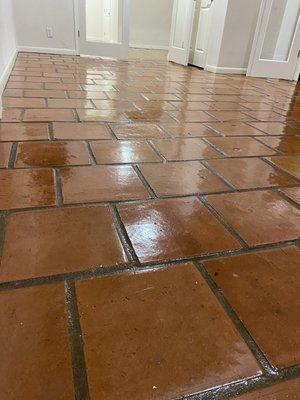 Office Saltillo Tile Strip and Wax