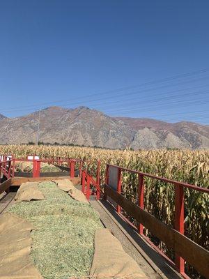 Tractor ride