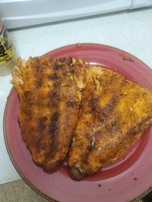 Salmon Fish