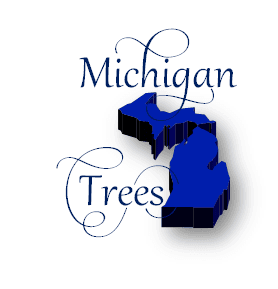 Michigan Trees