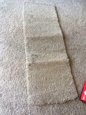 Carpet stain extraction before picture