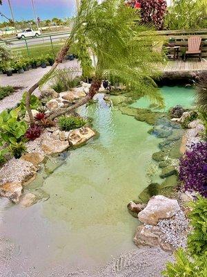 Koi Pond / Natural Pool